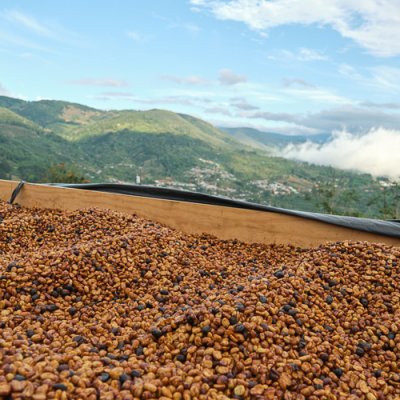 Costa Rica Herbazu Villasarchi Natural 100g